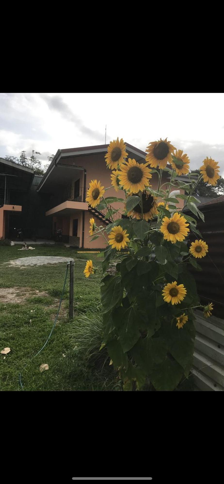 Sky Hostel La Fortuna Εξωτερικό φωτογραφία